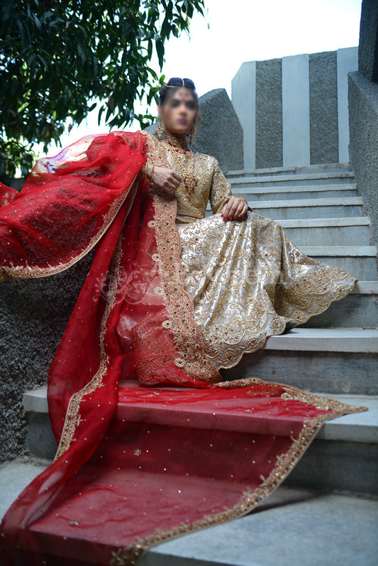 Golden Queen